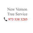 New Vernon Tree Service