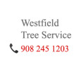Westfield Tree Service