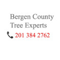 Bergen tree expert